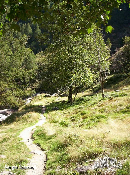 24 Il sentiero verso la cascata.jpg